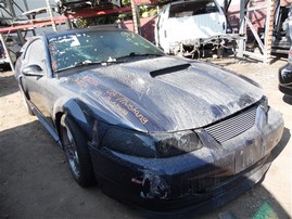 2003 Ford Mustang GT Navy Blue 4.6L AT #F21126